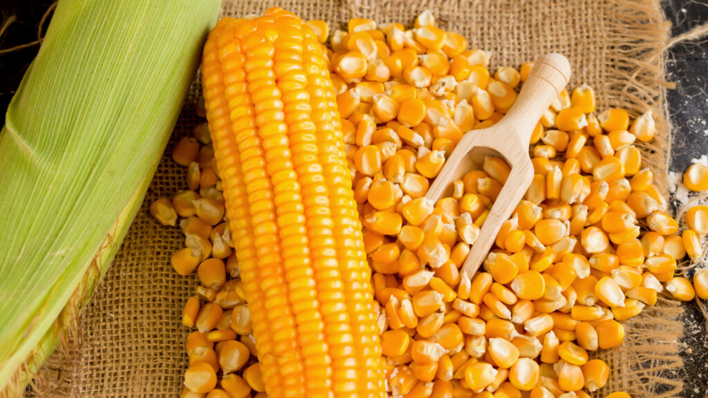 Corn